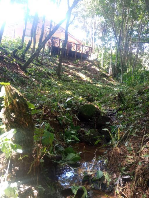 Casa Aconchegante Na Serra. Santo Antônio do Pinhal Екстериор снимка